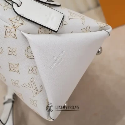 tui xach lv gia re 5