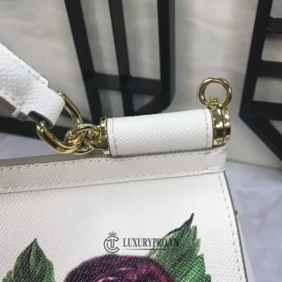 tui xach nu hang hieu dolce gabbana 1 3