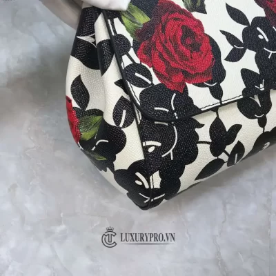 tui xach nu hang hieu dolce gabbana 2 2