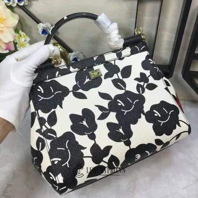 tui xach nu hang hieu dolce gabbana 3 2