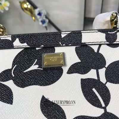 tui xach nu hang hieu dolce gabbana 4 2