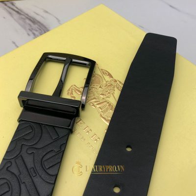 day lung burberry 3 3