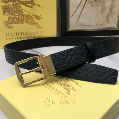 day lung burberry 4 2