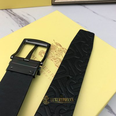 day lung burberry 4 3