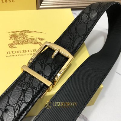 day nit burberry nam 1 4