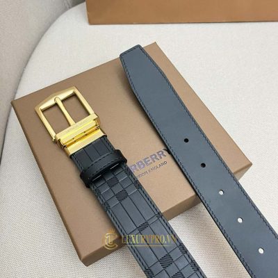 that lung burberry nam 2 5