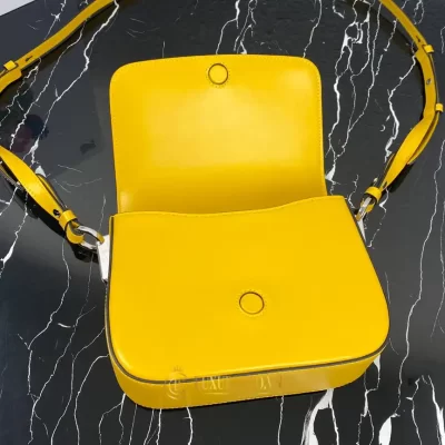 tui deo cheo nu prada hang hieu 8 4